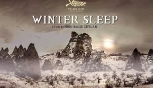Zimsko spanje (Kış Uykusu/Winter Sleep)