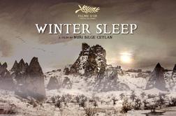 Zimsko spanje (Kış Uykusu/Winter Sleep)